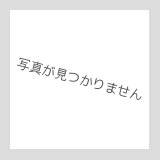 画像: イコマ商会ペーパーキット 阪堺モ１６１（注文生産、『カートに入れる』ボタンよりご発注ください）