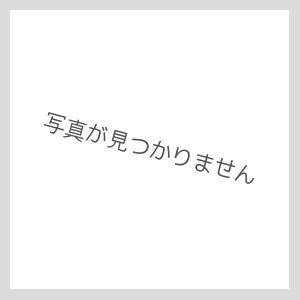 画像: イコマ商会ペーパーキット 阪神１１４１（注文生産、『カートに入れる』ボタンよりご発注ください）