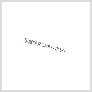 画像1: イコマ商会ペーパーキット 阪堺モ２０５（注文生産、『カートに入れる』ボタンよりご発注ください）